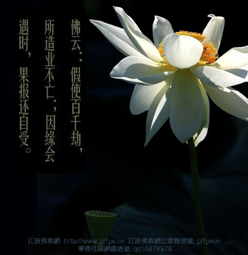 ���ִ������һ��Ů�˳���ļ�ͥ�����Ӧ�������˶����ˣ���