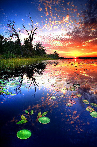 我们照镜子,镜子照什么? 我们照镜子,镜子照什么?