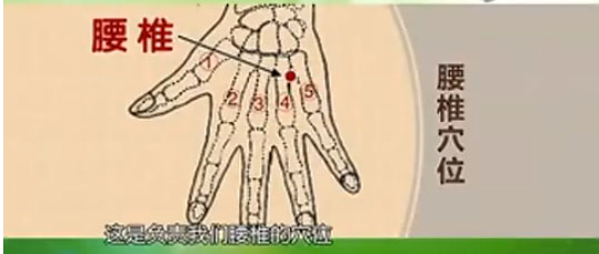 һ���ӽ����׵_��׵_��׵��ʹ����Ƶ��ͼ��