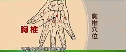 һ���ӽ����׵_��׵_��׵��ʹ����Ƶ��ͼ��