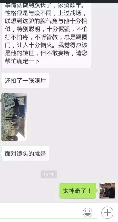 真实案例:驴脾气的人真的投胎做驴了! 真实案例:驴脾气的人真的投胎做驴了!