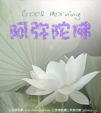 海涛法师:鸡蛋有没有交配都不能吃?为什么 海涛法师:鸡蛋有没有交配都不能吃?为什么