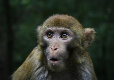 ���ھ�⨺⨺�ȶ��ˣ������¾ͼ����������Ӧ