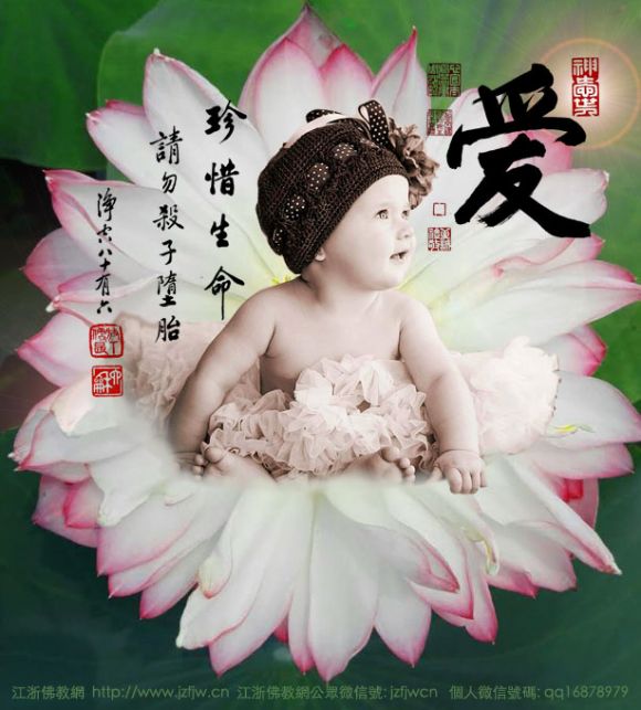 ע����~Ů�Ӷ�̥������Ҳ���ܶ�̥�Ĺ�������