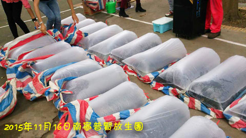 ���������������Ӧ������Ѹ�ٸı�����