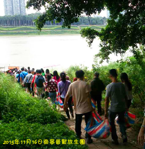 ���������������Ӧ������Ѹ�ٸı�����