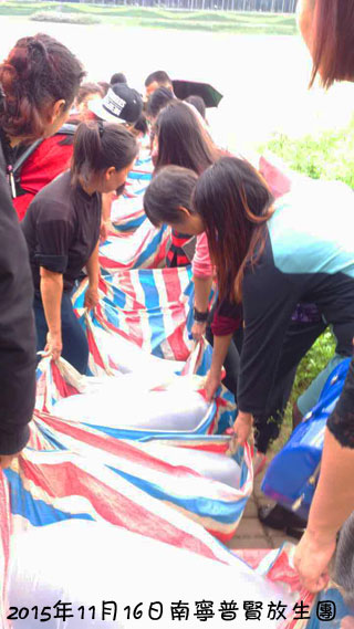 ���������������Ӧ������Ѹ�ٸı�����