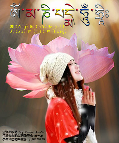 �ڼ�ѧ�𵽵׸���ô�������ܵõ����������ϵļӳֻ��ӣ�