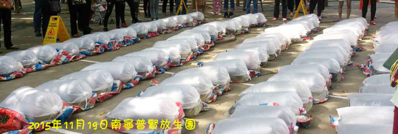 �����𺳵Ĺ����ؾ�������������������١��ǻۡ����󣬻��ܻ�����������ա�