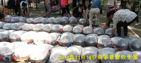 �����𺳵Ĺ����ؾ�������������������١��ǻۡ����󣬻��ܻ�����������ա�