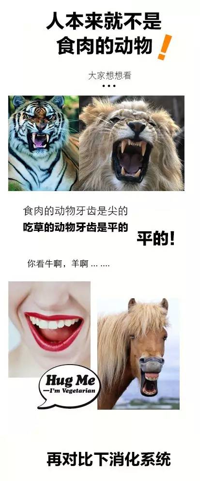 11��25�ա�������ʳ�ա�����_��������