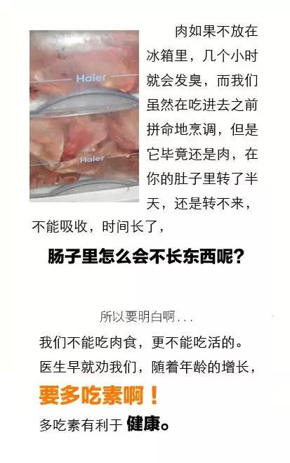 11��25�ա�������ʳ�ա�����_��������