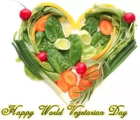 11��25�ա�������ʳ�ա�����_��������