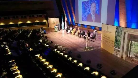 ����Ƶ�����壡�𾴵��Ͼ��¿��Ϸ�ʦ�����Ϲ��ܲ�վ�ſ�ʾ