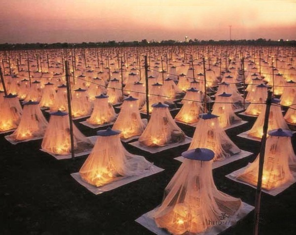 ���������Ժ���O����^��̩�������£�������������ϲת��