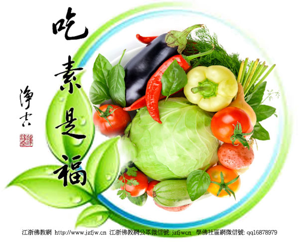 ӡ�ⷨʦ��ʳ��һ�£���ϵ��������