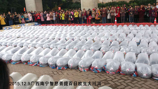 Բ��ʦ������������Ƿ������ɱծ