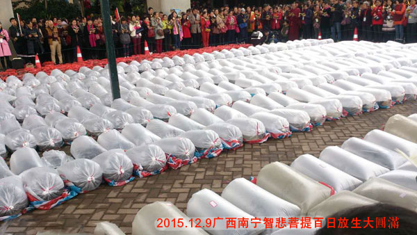 Բ��ʦ������������Ƿ������ɱծ