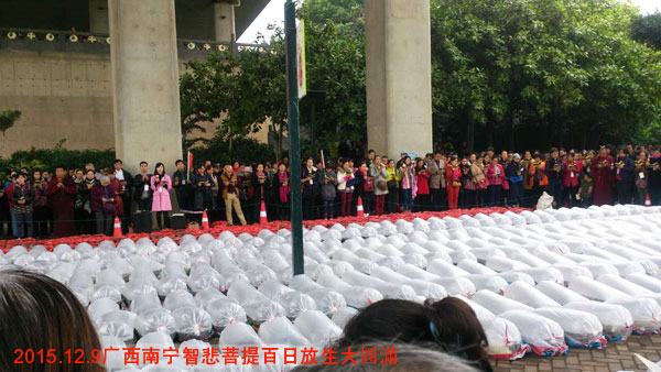 Բ��ʦ������������Ƿ������ɱծ