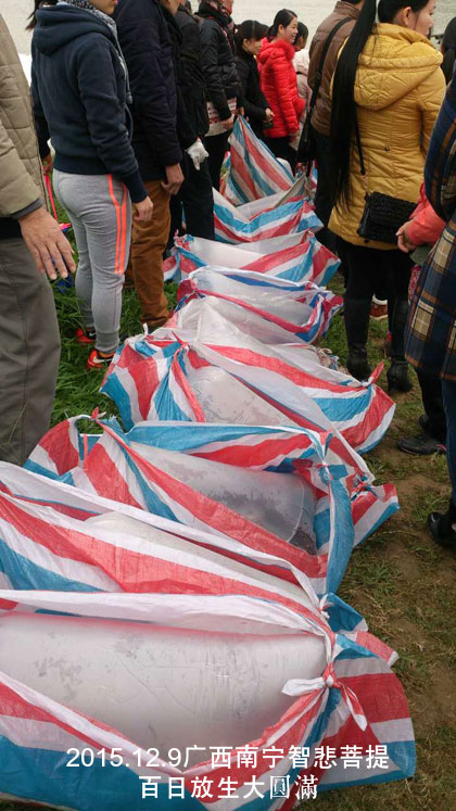 Բ��ʦ������������Ƿ������ɱծ