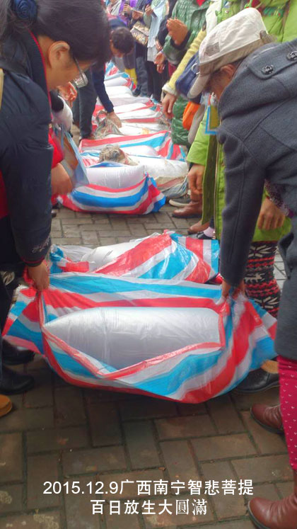 Բ��ʦ������������Ƿ������ɱծ