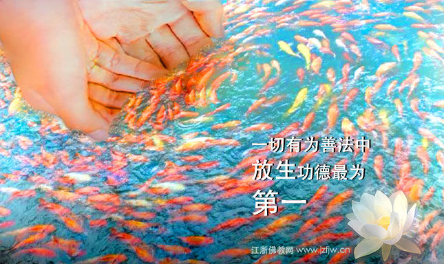 �������²���˼�飬��˼�������ܲ�ȵ�