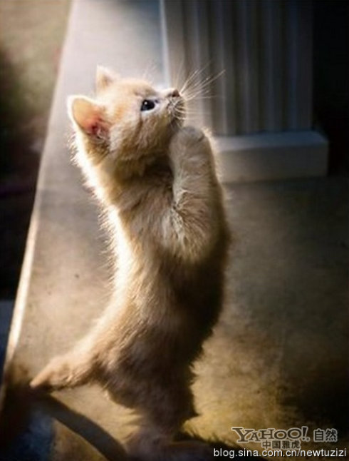 �������ݷ�Ķ����𣿾�������̫�а��ˣ�����������ʱ�򲻷�����...