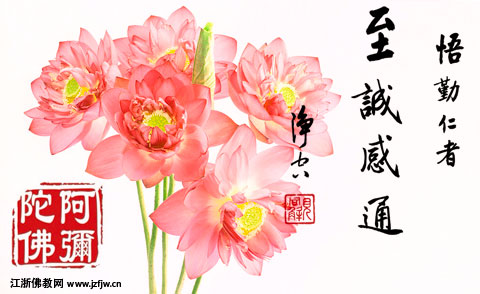 分享:只要我们有一念为别人,都会有意想不到的善报 分享:只要我们有一念为别人,都会有意想不到的善报