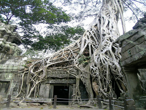 �ڼ��ճ���ʱǧ��Ҫ����Щ������Ӱ�������ǻ��ϡ�������