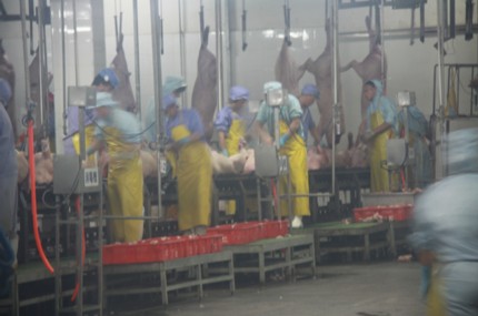 �ڼ��ճ���ʱǧ��Ҫ����Щ������Ӱ�������ǻ��ϡ�������