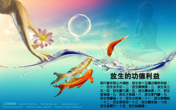 李炳南:放生可转变因果 李炳南:放生可转变因果