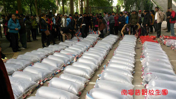 李炳南:放生可转变因果 李炳南:放生可转变因果