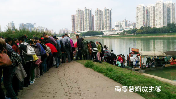 李炳南:放生可转变因果 李炳南:放生可转变因果