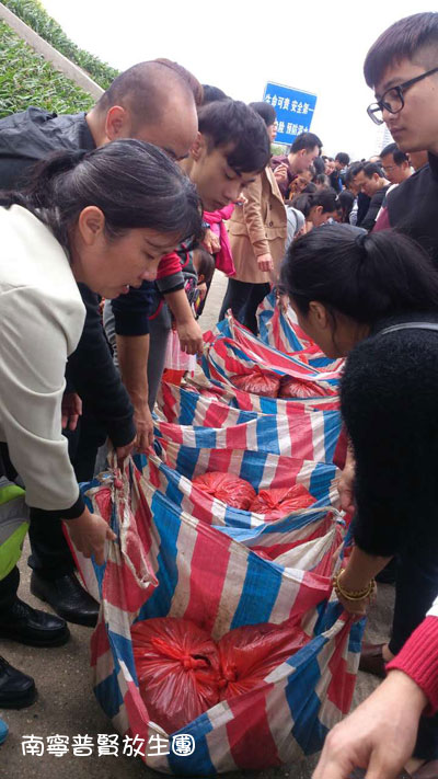 ����ϣ�������ת�����