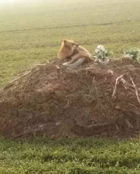 ɽ�����ֺ����طأ�һ����Թ���飬����ϲ��ߣ�