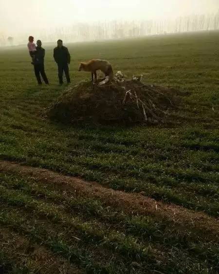 ɽ�����ֺ����طأ�һ����Թ���飬����ϲ��ߣ�