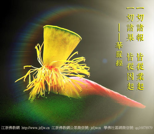 发生在香港的一桩真实灵异事件 发生在香港的一桩真实灵异事件