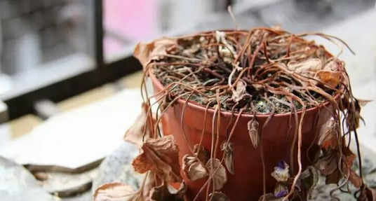 ��Щ������Ʒǧ���ܷż���������