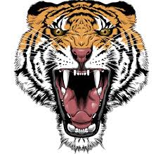 ��Щ������Ʒǧ���ܷż���������