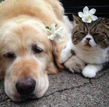 �������ò�Ҫ����������̫������