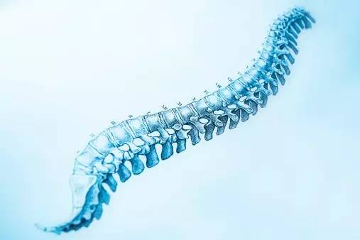 �˾��뾱׵��