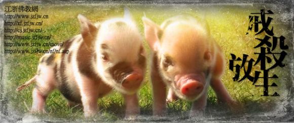 堕胎后男方会有牢狱之灾,胎狱能量传递 堕胎后男方会有牢狱之灾,胎狱能量传递