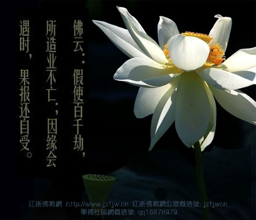 ���濰�����ʣ�Ϊʲô���������Ǳ���ƭ��