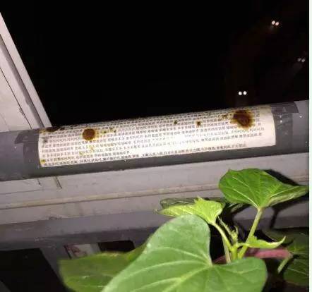 �������Ĺ����������¥δ����ڼ�Ů����¥��ɱ��̫����