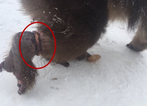 ��üɽ����ƽ�����_��ס�ο�չʾ�˿����(ͼ)