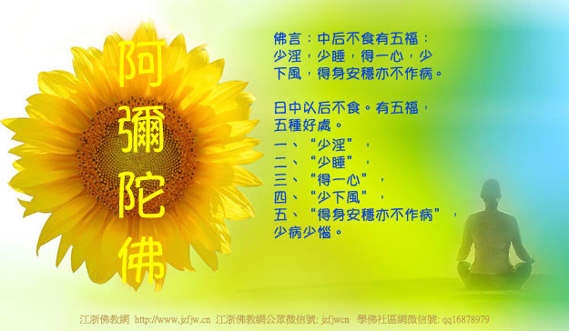 ���۷�ʦ�����粻ʳ����Щ����