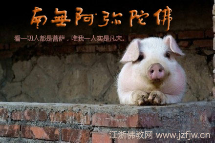 过节的时候杀生作为佛弟子咋办? 过节的时候杀生作为佛弟子咋办?