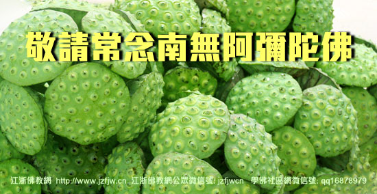 高速上开205迈遇车祸14人死,独一人得佛卡护身幸免 高速上开205迈遇车祸14人死,独一人得佛卡护身幸免