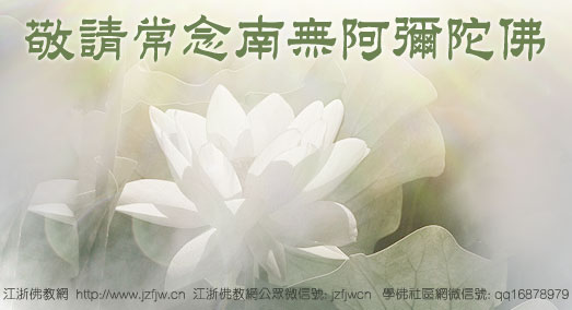 没有智慧,做善事越多就会越痛苦 没有智慧,做善事越多就会越痛苦