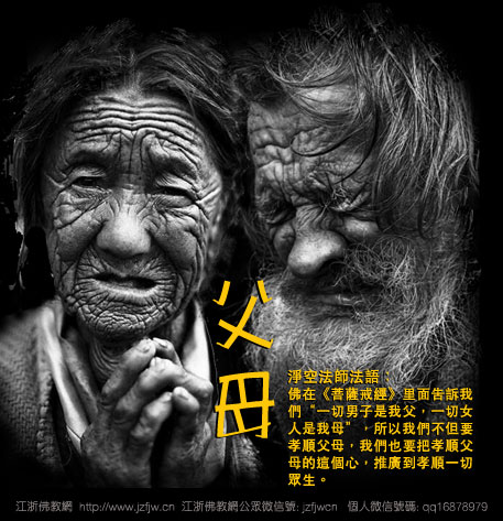 ��Թ�Լ��ĸ�ĸ�����۸���